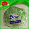 NEW 2015 Yunnan organic iceberg lettuce